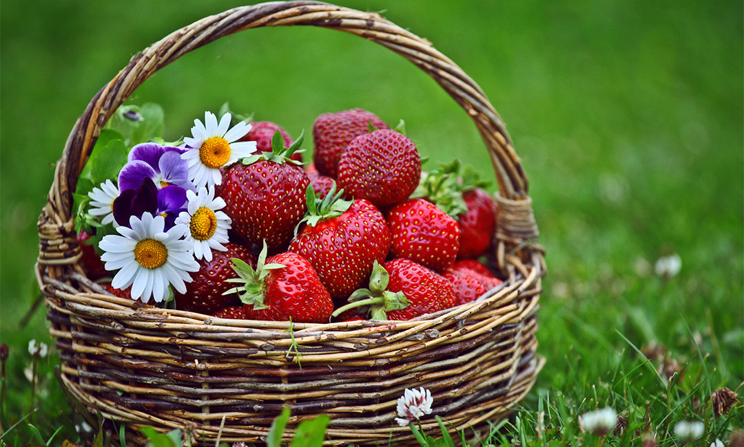 垫江点呀点水果电商APP开发案例